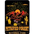 Petrified Forest National Park