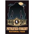 Petrified Forest National Park