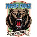 Pigeon Forge 