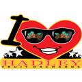 Hadley I Heart