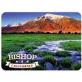 Bishop Califronia