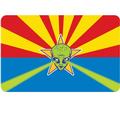 Arizona Flag Alien