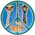 Ostrichland USA