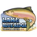Lake Blue Ridge Toccoa River