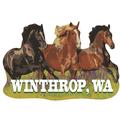 Winthrop, WA