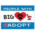 People With Big Hearts Adopt