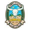 Yellowstone Steer Skull Green Oval