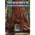 Wawona Yosemite