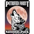 Petrified Forest National Park