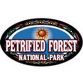 Petrified Forest National Park