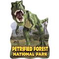 Petrified Forest National Park