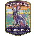 Petrified Forest National Park