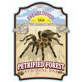 Petrified Forest National Park