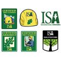 ISA Tree Climber