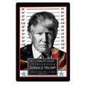 Trump Mug Shot