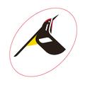 Spirit Products