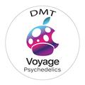 Voyage Psychedelics
