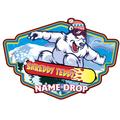 Shreddy Teddy Snowboarding Bear