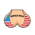 Ocotillo Wells