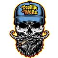 Ocotillo Wells