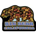 Big Bear California