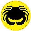 Great Alaskan Lumberjack Crab on Yellow