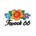 Topock 66