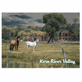 Amy Nelson Photography Horses