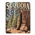Sequoia Big Tree