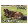 KOA Campgrounds Gizzy Donkey