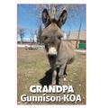 KOA Campgrounds Grandpa Donkey