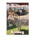 KOA Campgrounds Ashley Donkey