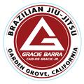 Brazilian Jiu Jitsu Logo