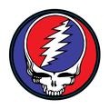 George Whitney Grateful Dead Skull