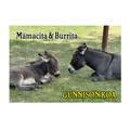 Donkey's Mamacita & Burrita
