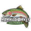 Mammoth Lakes Trout