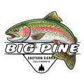Big Pine Eastern Sierra Trout