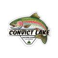Convict Lake Trout