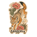 Arizona